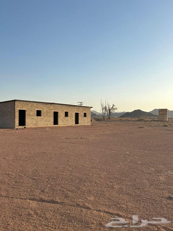 للبيع ارض زراعيه صك مستقل بالصبيحيه64618977972739110