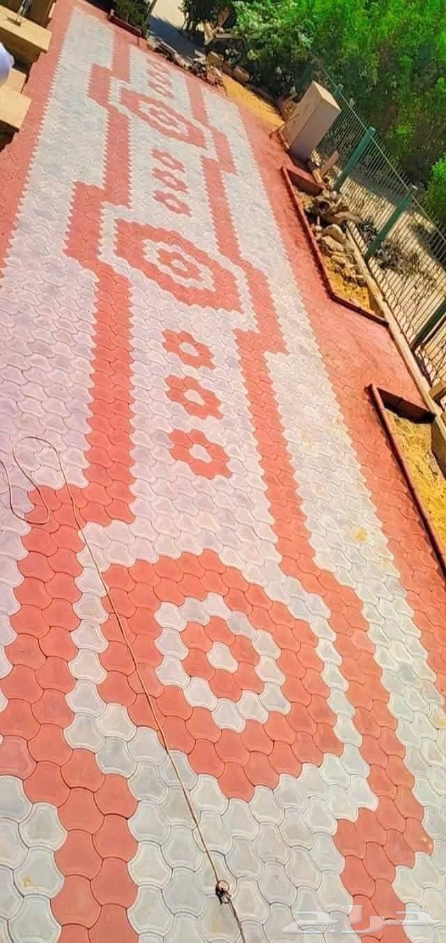 Abu Adham: Technician and Contractor for Paving Stones and Interlocking Pavements; Designs Landscapes and Gardens64619152626689113