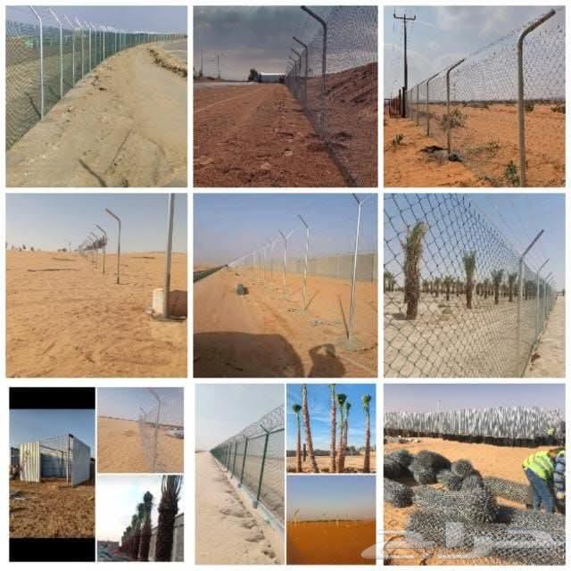 توريد وتركيب الشبوك بجميع انواعها توريد نخيل  بجميع انوعه64619137238145110