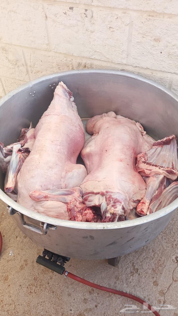 طباخ متنقل داخل وخارج الرياض لجميع انواع الطبخ64619108709122113