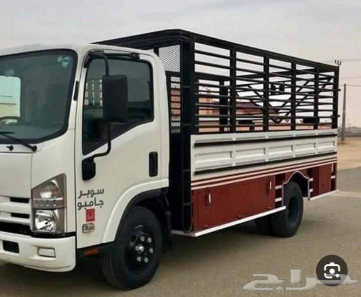 دينه نقل عفش واثاث بالدمام الخبر وخارج الدمام64613481794818110