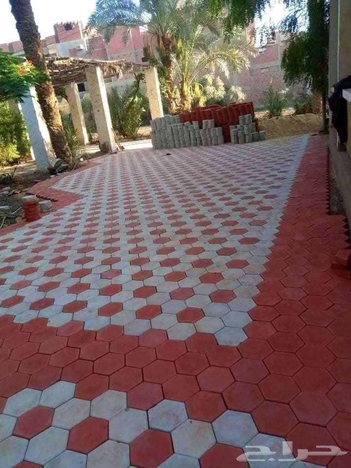 مبلط انترلوك وبلدوره و سرميك   تسليم استشاري تسلم م64613496249603113