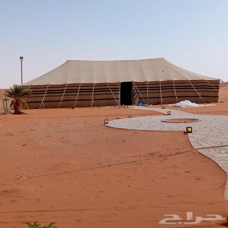 خيام قحطاني خيام كويتي خيام صباحي بيوت شعر متحركه بيوت شمالي64619166777089112