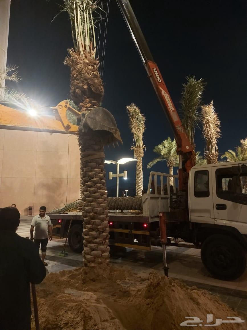 5-TON Surface Crane in Al-Ahsa and Outside64619167124609113