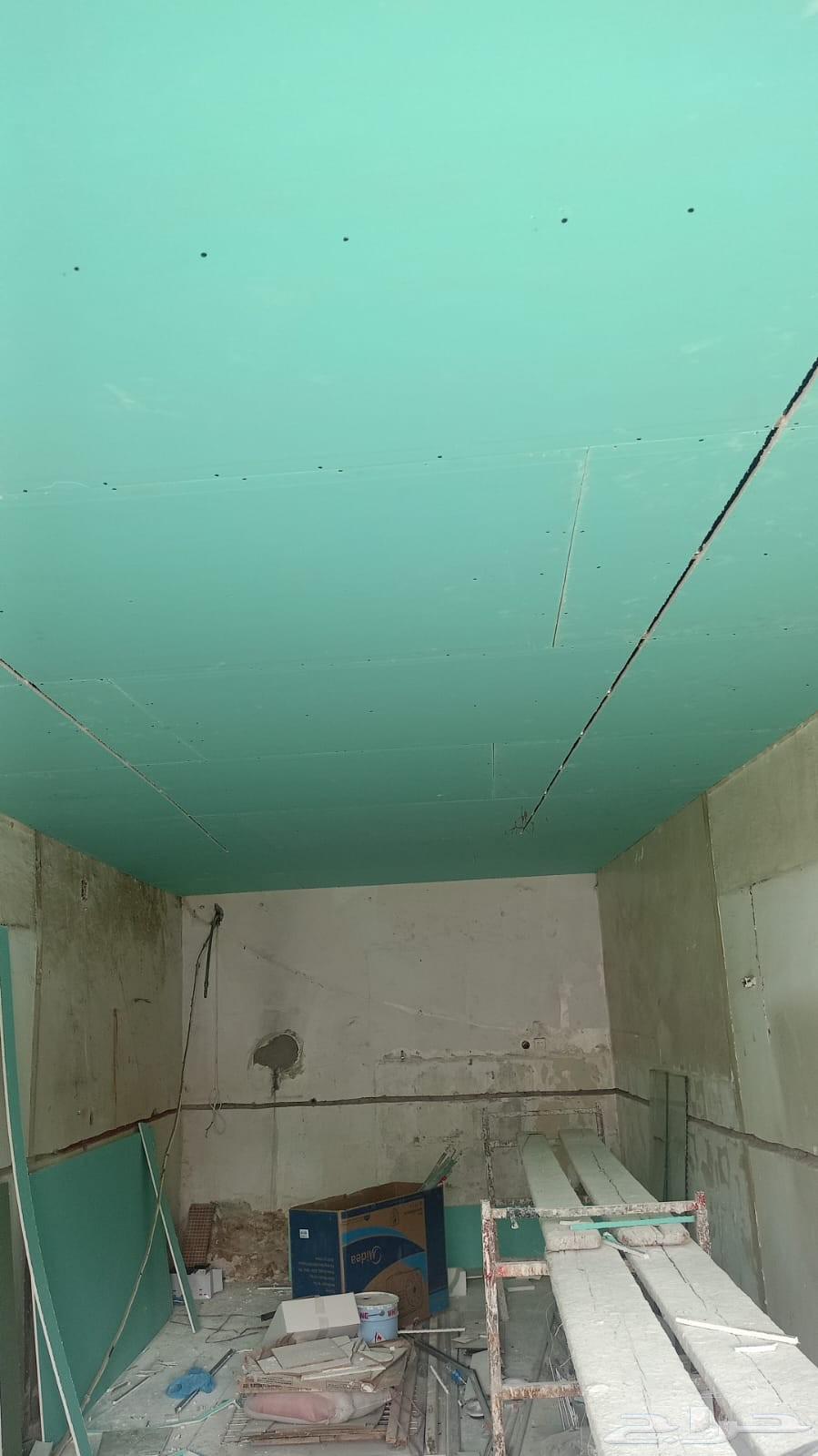 Plasterer: Gypsum, Drywall, and Local Plaster64618933641090112