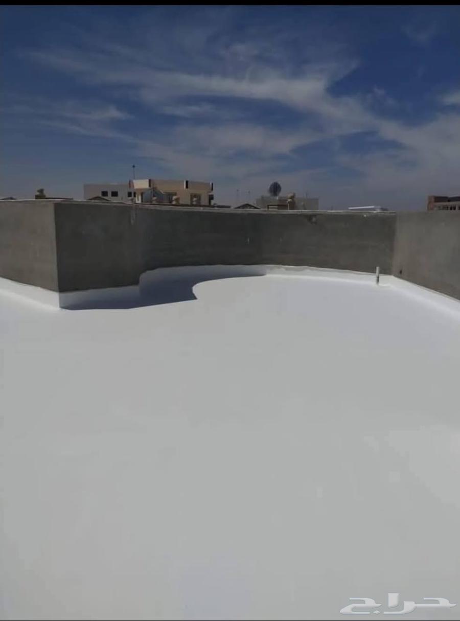 Professional painter specializing in all types of modern paints and renovation64619152969603114