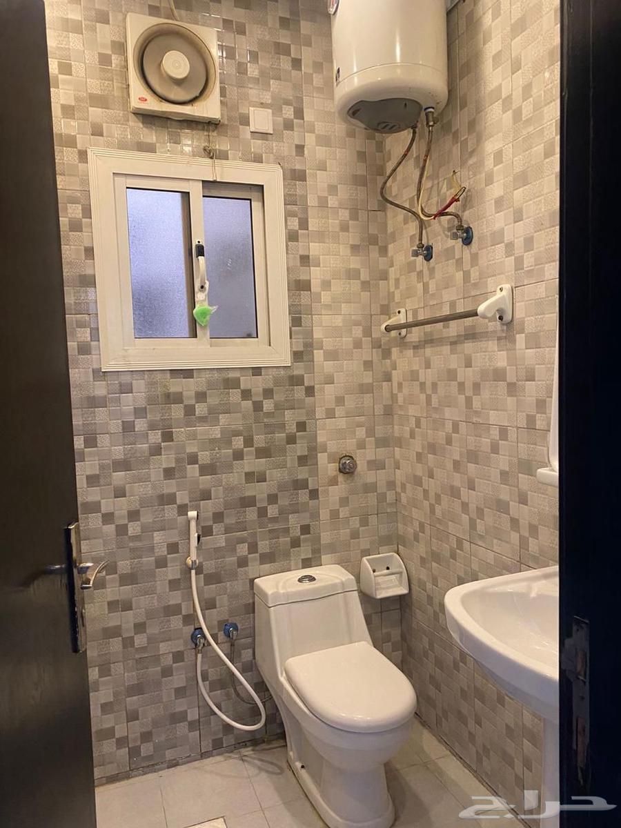 شقة للإيجار