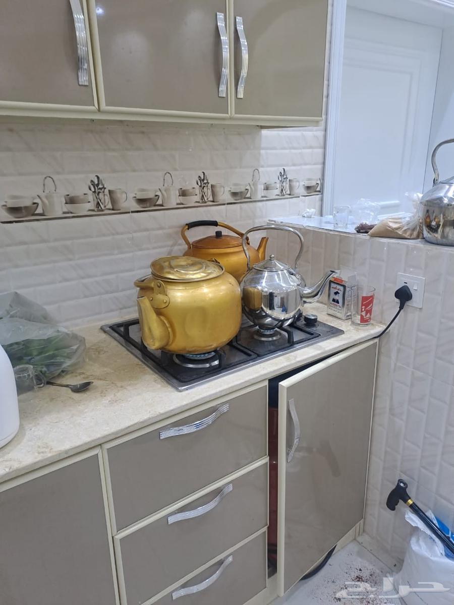 قهوجي وصبابين64619081475202113