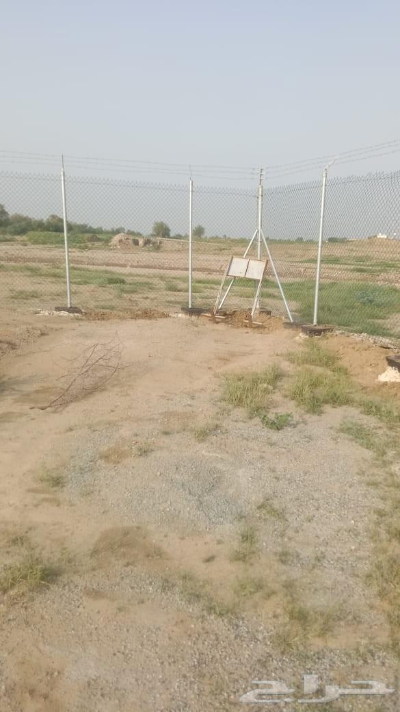 نقوم باتوريد واتركيب جميع انواع الشبوك والملاعب الهناقر64625614210819112