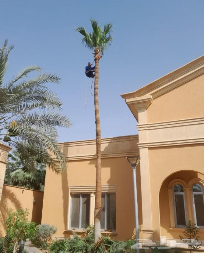 تنسيق حدايق وعمل جميع انواع شبكات الرأي كامله العادي والاتوم64625614270594114