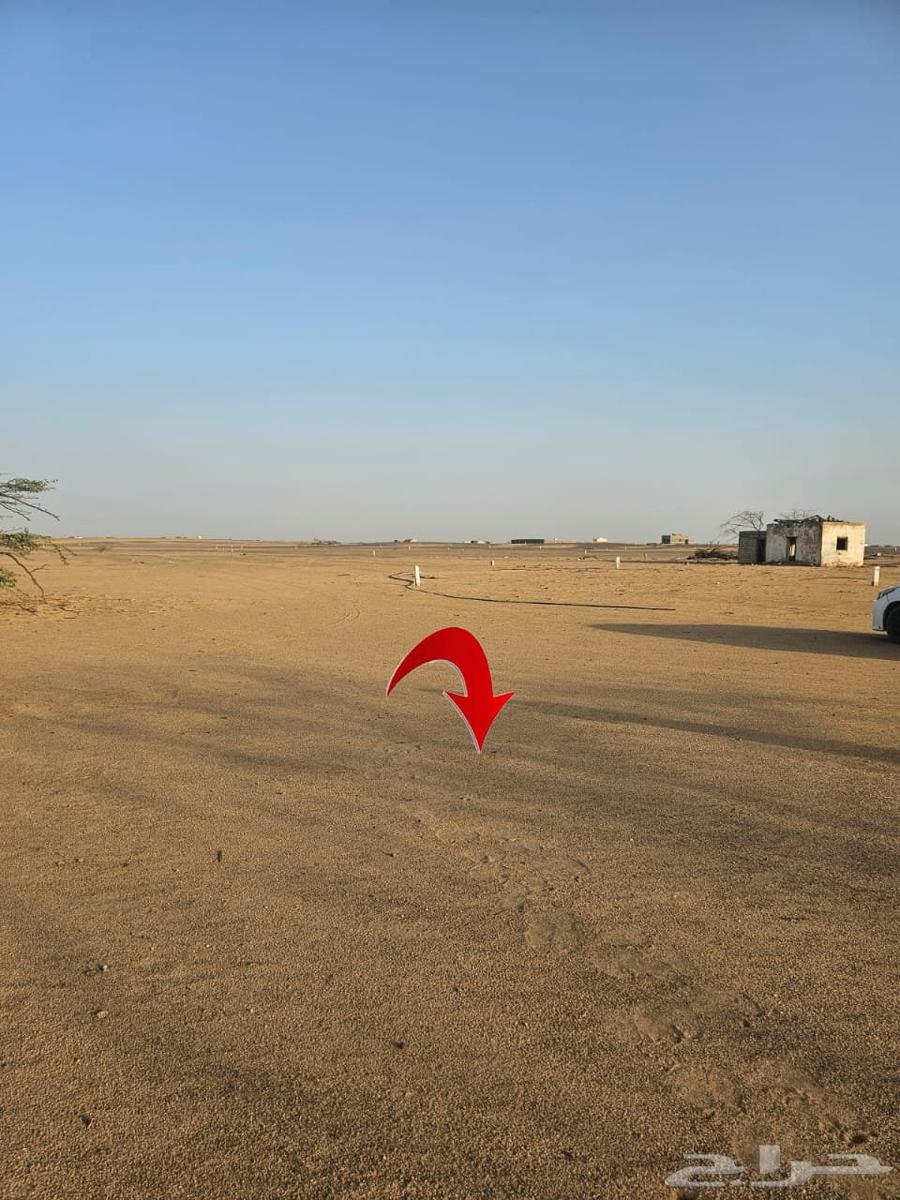 Land for Sale in Jawharat Al-Arous Plan, Part 2L, Al-Jazirah Neighborhood, 2L, 2S, 2F64625516863362113