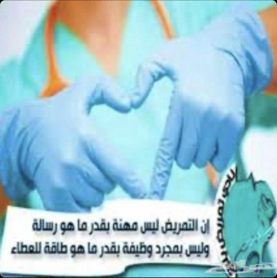 Experienced Nurses, Nursing Assistants, and Elderly Caregivers64662205767939112