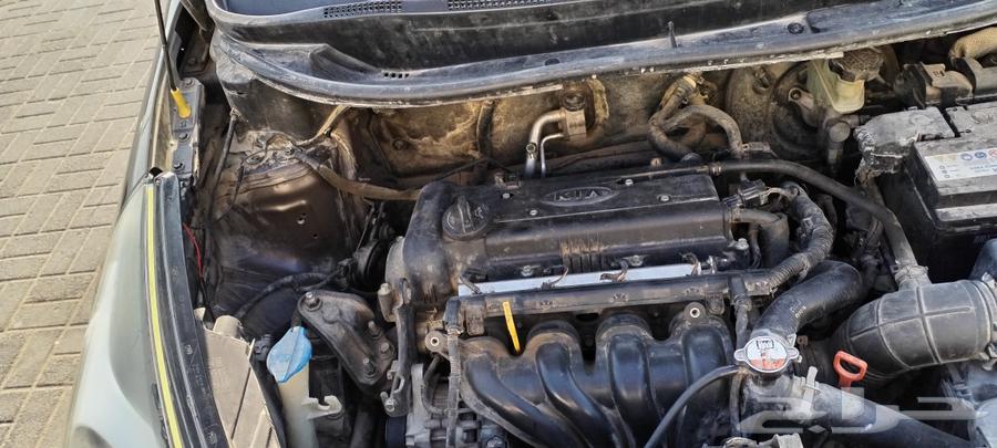 Hello, there is a Kia Rio car, agency-sold, how much is the paint job?63414261429889114