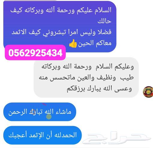 أجود الانواع الإثمد الأصلي بالسعودية والكويت بدون اضافات63617739999490112