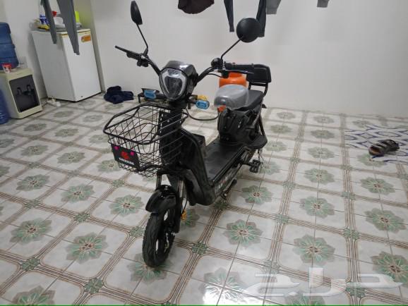Still new scooter63007898005889113