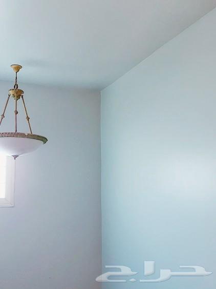 Very good paint63007223820419113