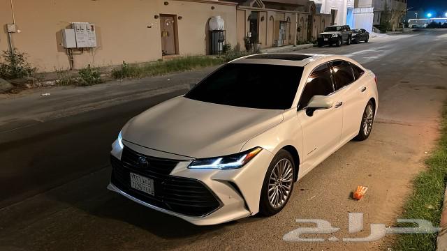 Avalon 2019 Agency from Saddam to Saddam63350997094401113