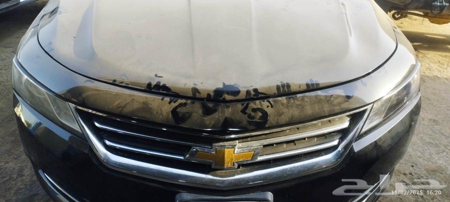 IMPALA ق ر وم ن63347518870275111