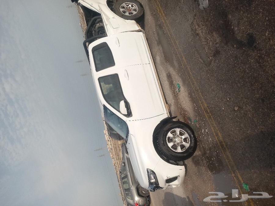 جريت وول ونجل 7 موديل 202263347838416258111