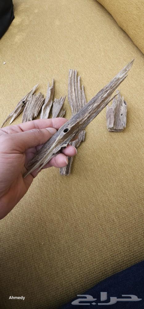 Return Netherlands Natural Indian63531216638850111