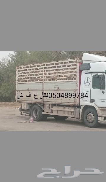 صندوق دينا الوري 6متر القصيم630231163328011128