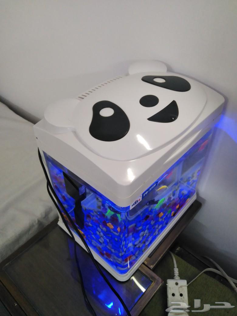 Decorative fish tank63223058594177114