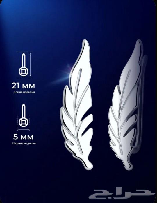 Imported women's silver accessories (Russia)63221056244482111
