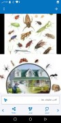 Cleaning company for apartments, tanks, sofas, carpets, pest control in Mecca63024465165185114