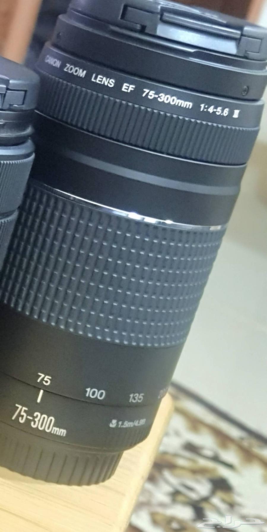 75-300mm zoom lens and 50mm lens63218023923203111