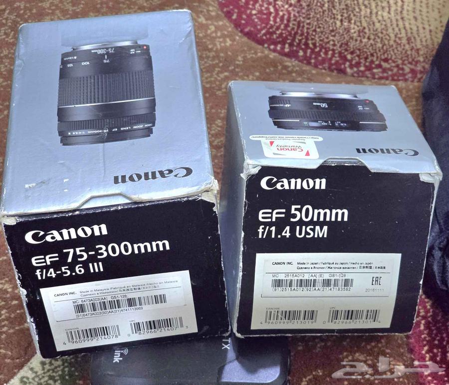 75-300mm zoom lens and 50mm lens63218023923203117