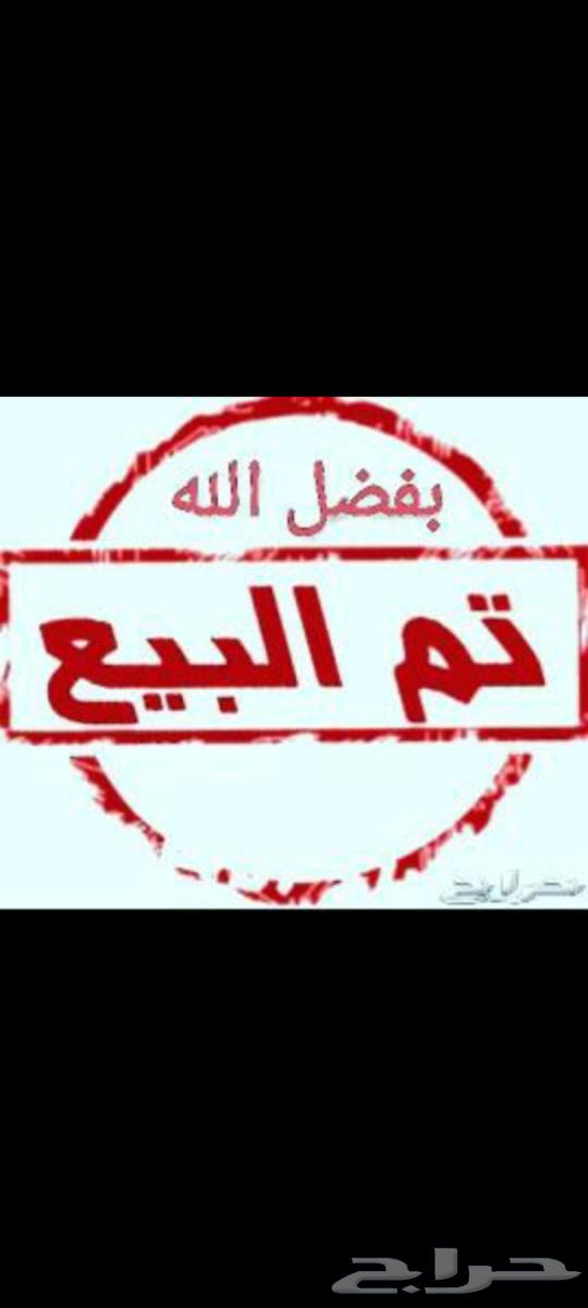 سييرا 2010 سعودي الجميح تم البيع تم البيع634250970525451127