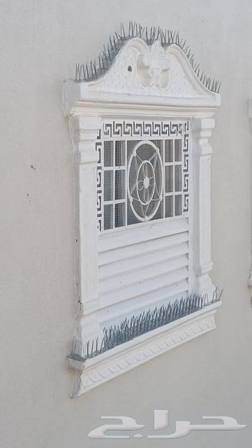 شركه تركيب طارد حمام بنجران مع ضمان 24 شهر63023121866626114
