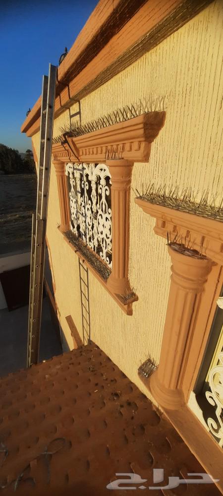 شركه تركيب طارد حمام بنجران مع ضمان 24 شهر630231218666261119