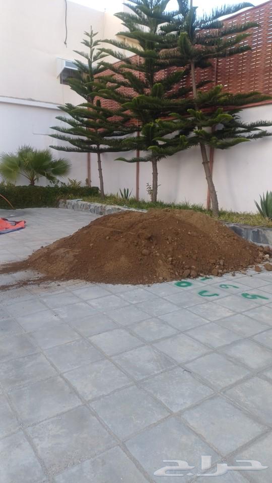 تربة زراعيه مغربله نضيفه للبيع بلجرشي632086008524811122