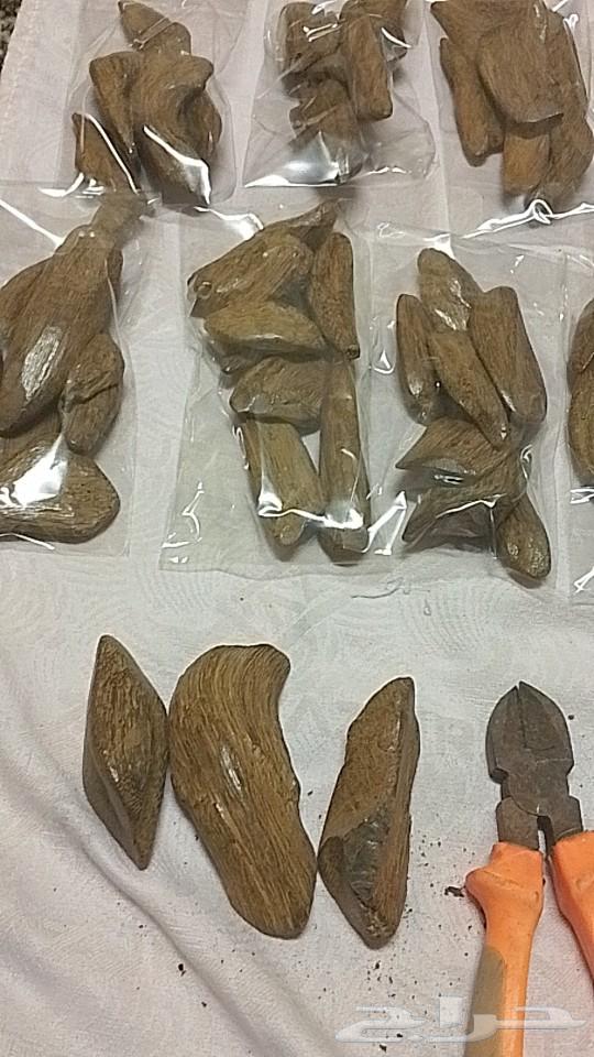 Come back Cambodi, display ounce 13063209055733506113