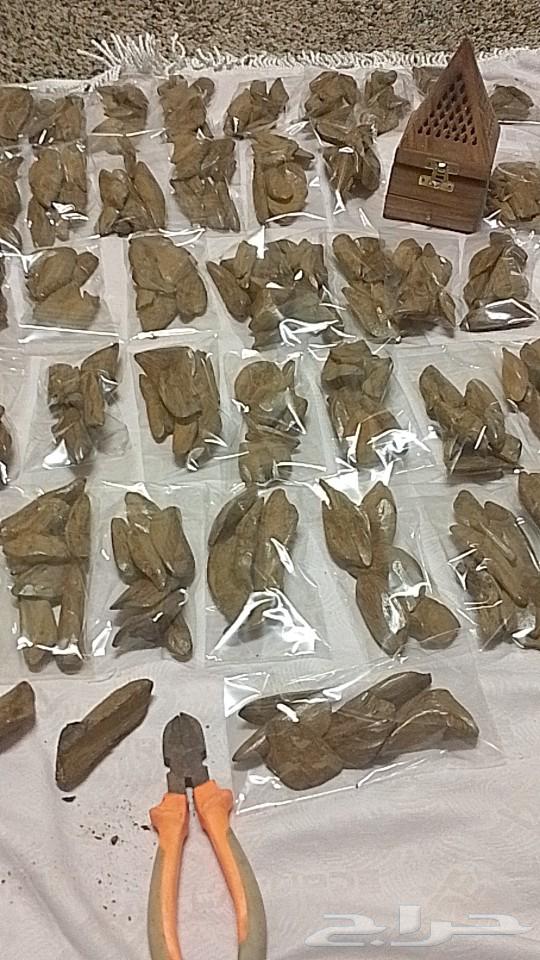Come back Cambodi, display ounce 13063209055733506114