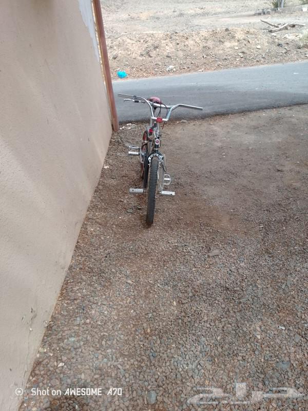 Cobra air bike price 200 riyals63209070529666112