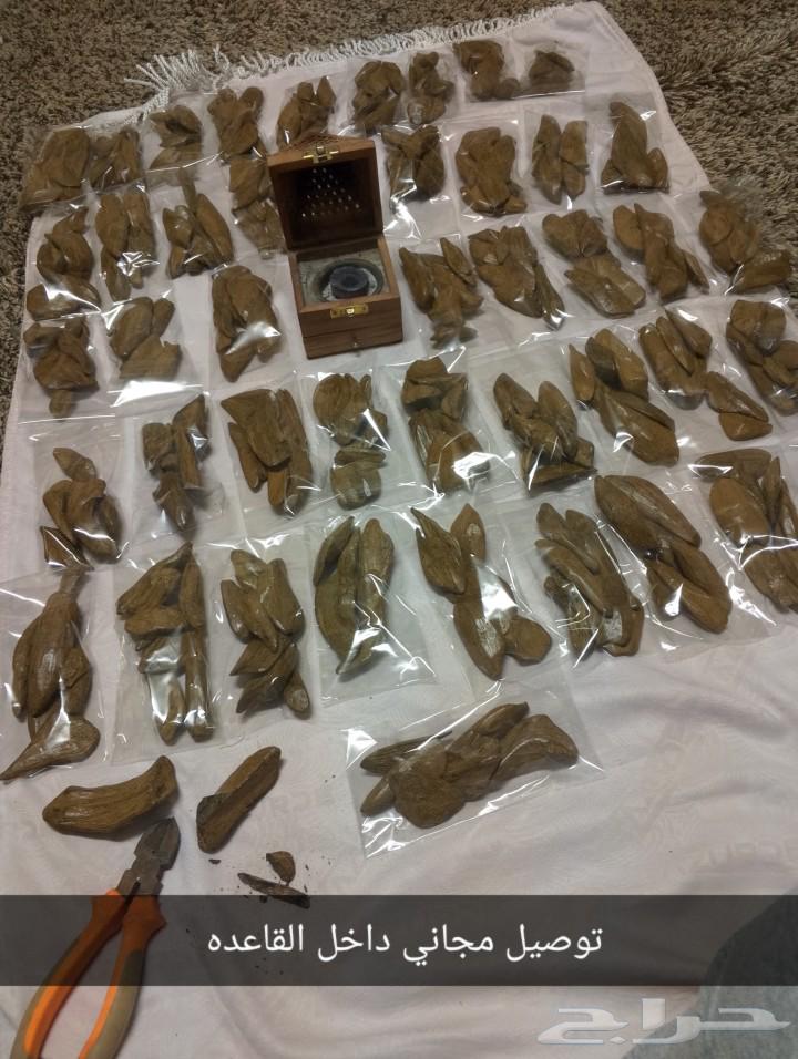 Come back Cambodi, display ounce 13063209055733506111