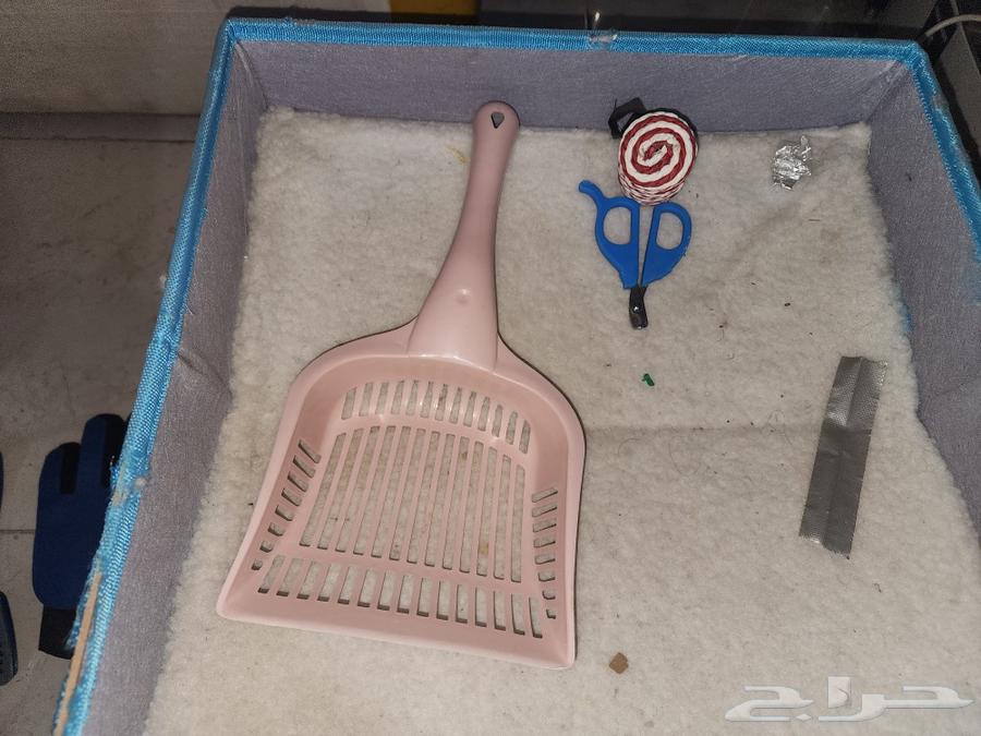 For sale: used cat items and accessories63206598728579112