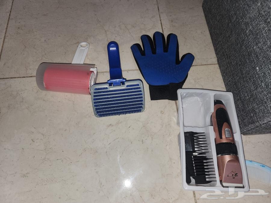 For sale: used cat items and accessories63206598728579111