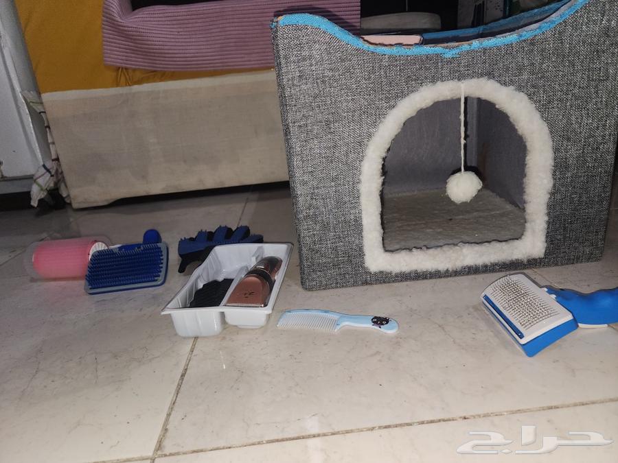 For sale: used cat items and accessories63206598728579113