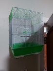 Selling new bird supplies from cardboard63208129785474114