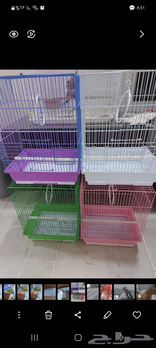 Selling new bird supplies from cardboard63208129785474111