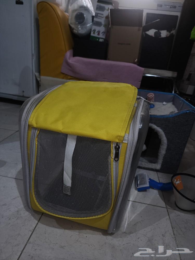 For sale: used cat items and accessories63206598728579114