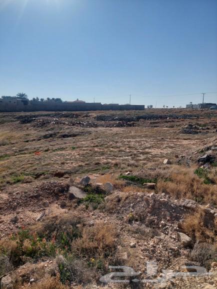 For sale: a rest area and a large land in Al-Khader district.63007973400834113