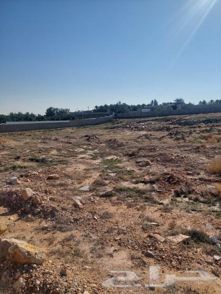 For sale: a rest area and a large land in Al-Khader district.63007973400834114