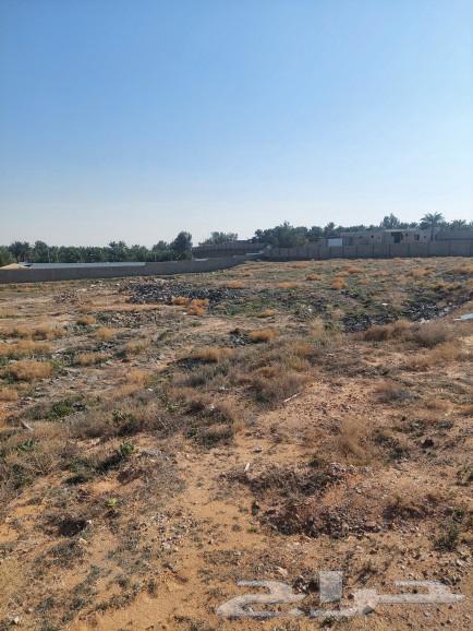 For sale: a rest area and a large land in Al-Khader district.63007973400834111