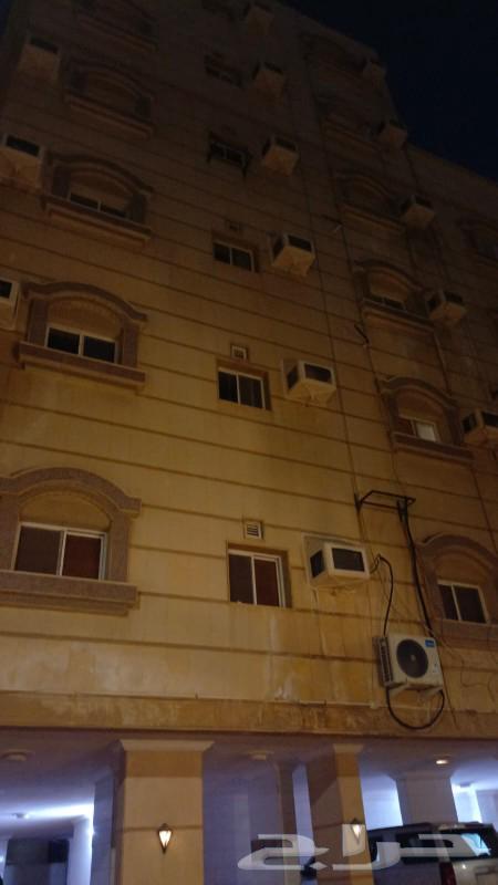 عمارة للبيع بحي الروضة جدة63007973820417113