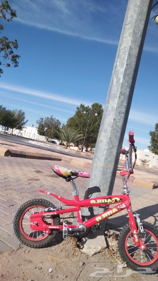 Cobra bicycle, the bicycle is in perfect condition 100%. With delivery 125.632516052108811116
