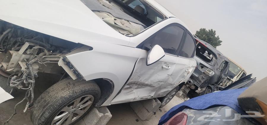 شنجان الاسفن 2019633107364172811125
